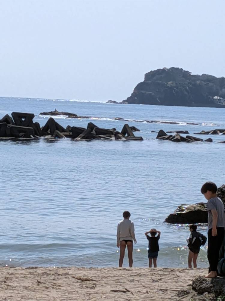 春の海