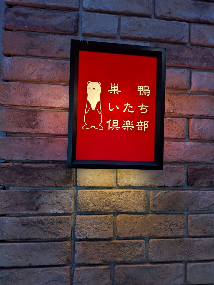 おはようございます