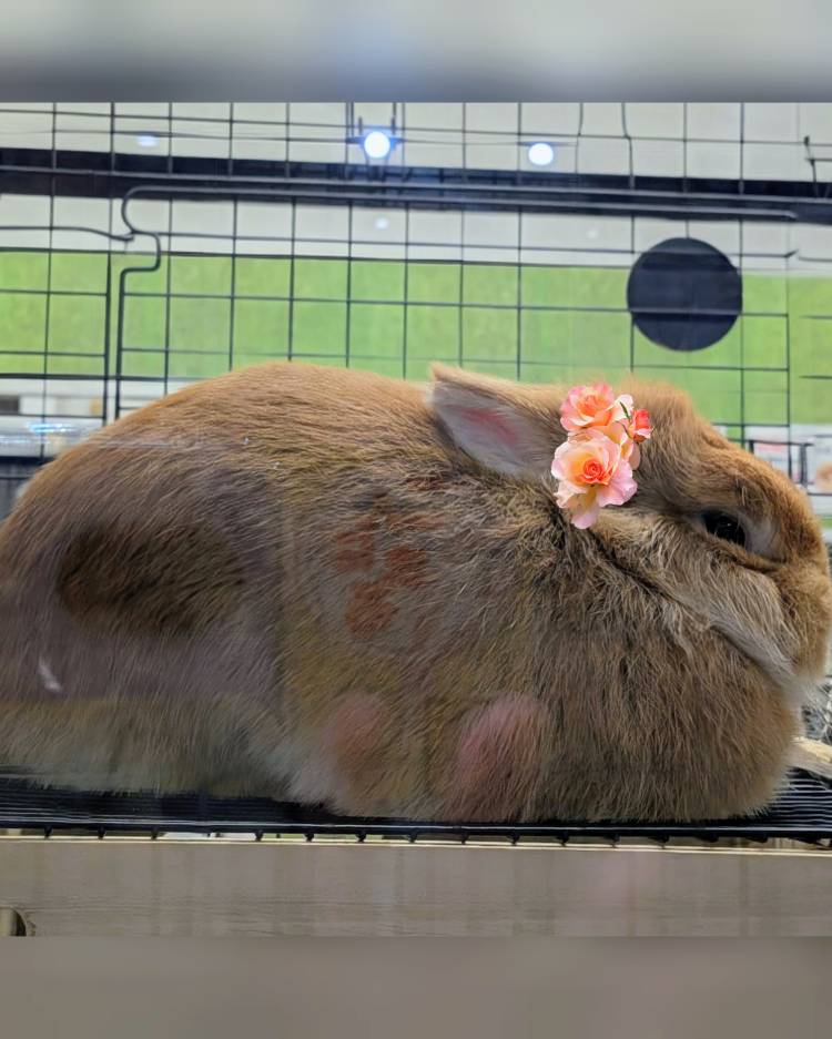 おはようございます