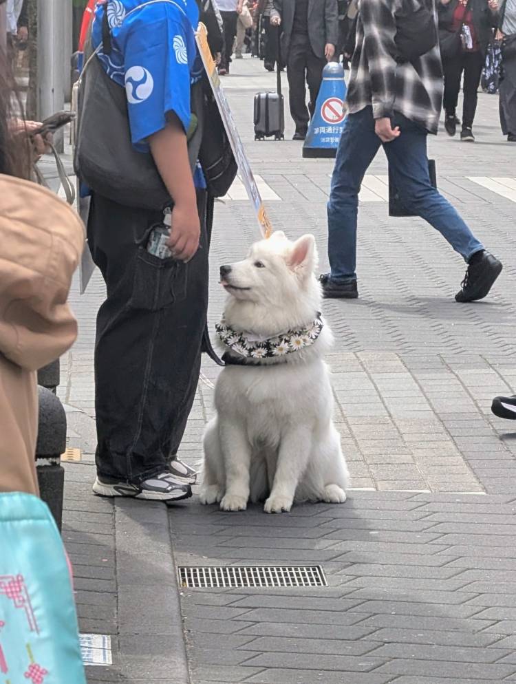 おはようございます