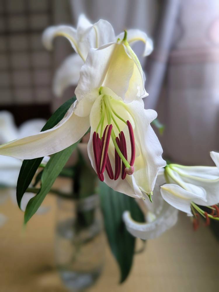 おはようございます