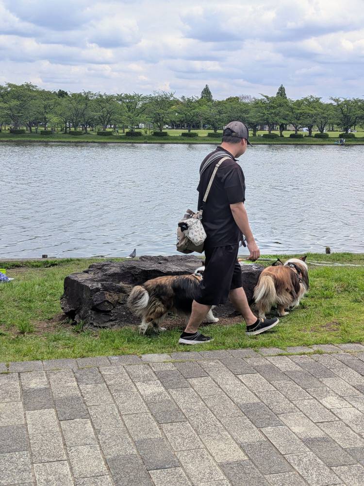 犬ﾁｬﾝ