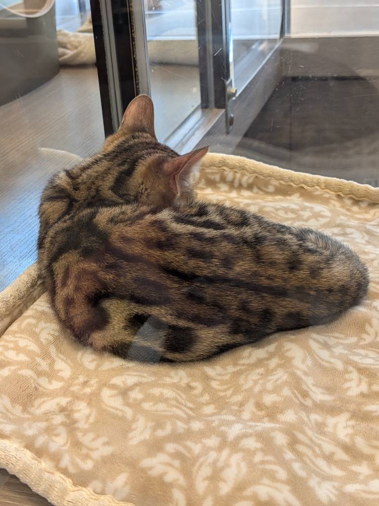 おはようございます
