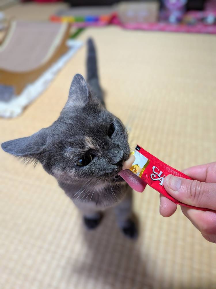 おはようございます