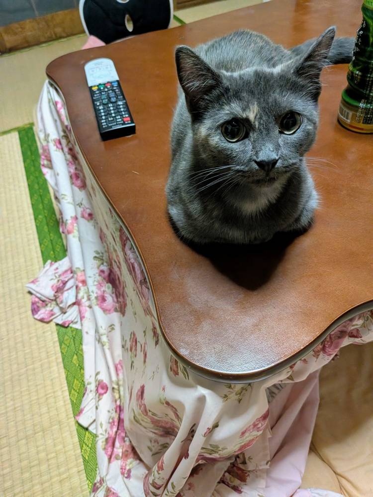 おはようございます