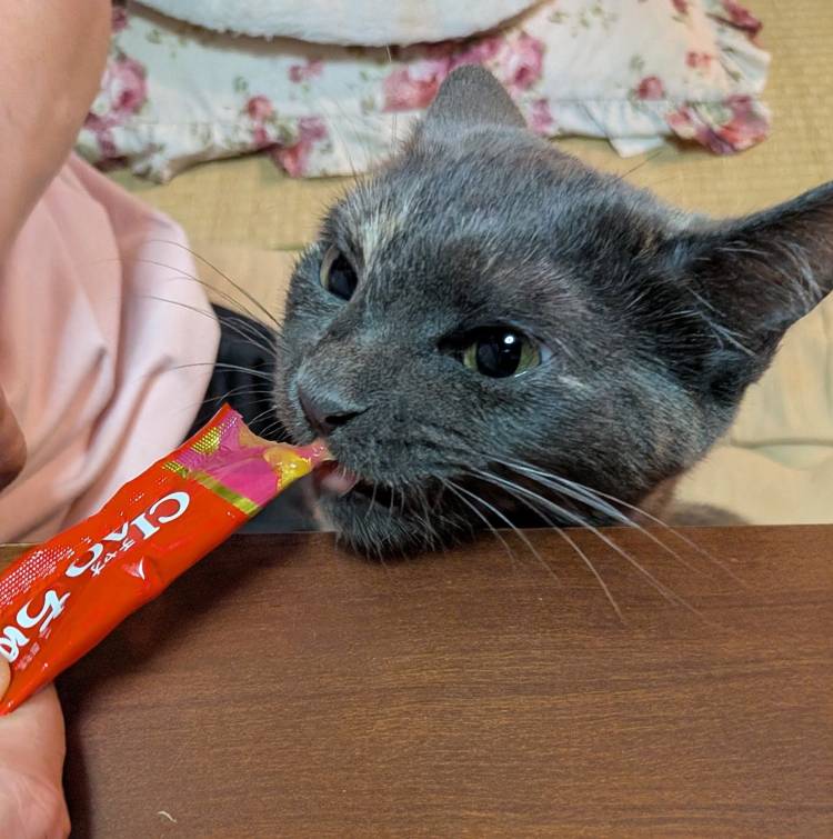 おはようございます