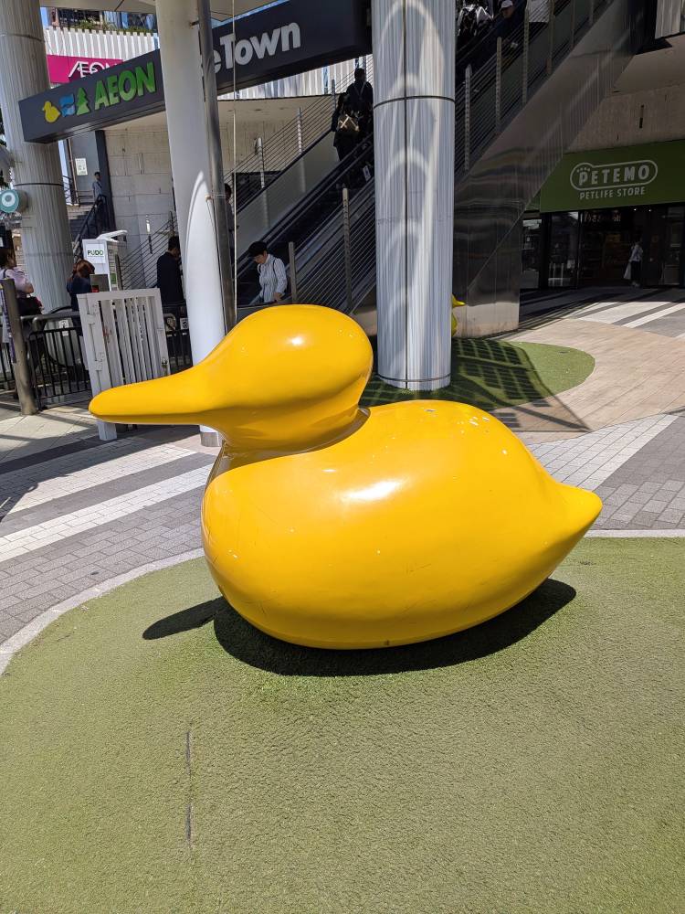 おはようございます