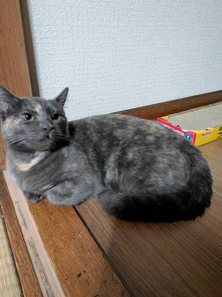 おはようございます