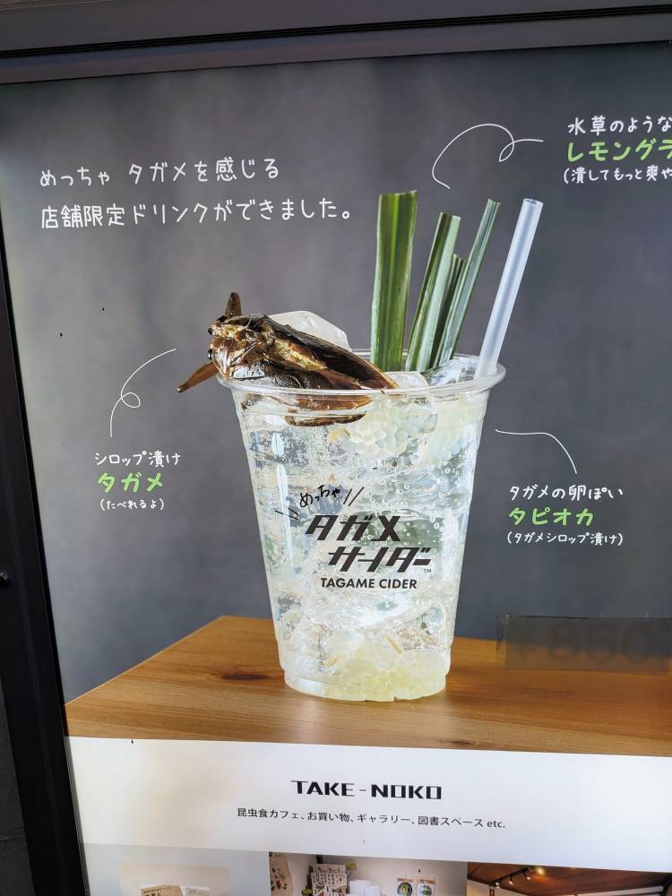 おはようございます