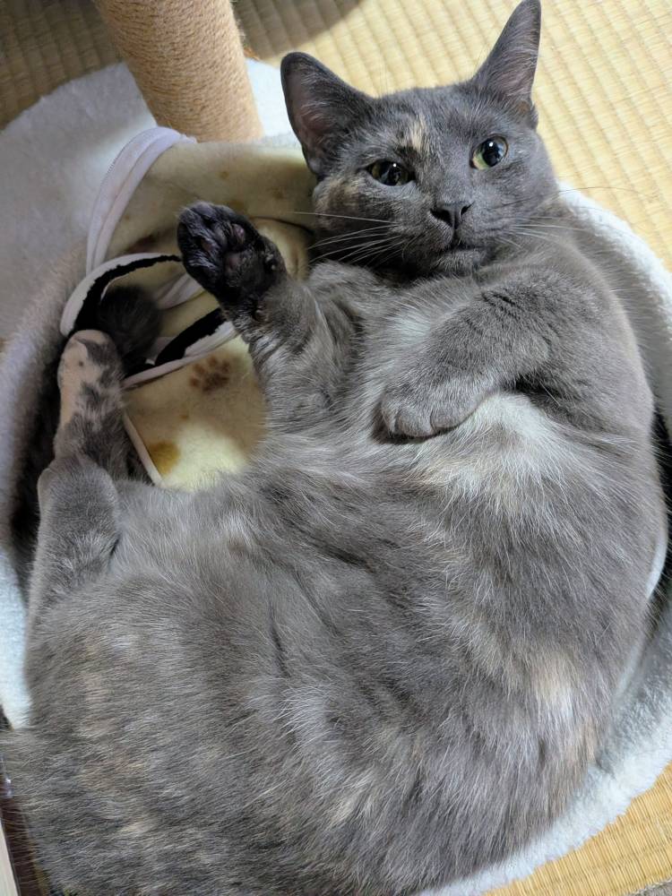 おはようございます