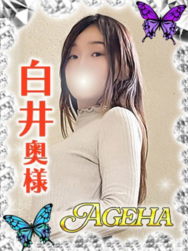 白井(しらい)（あげは）