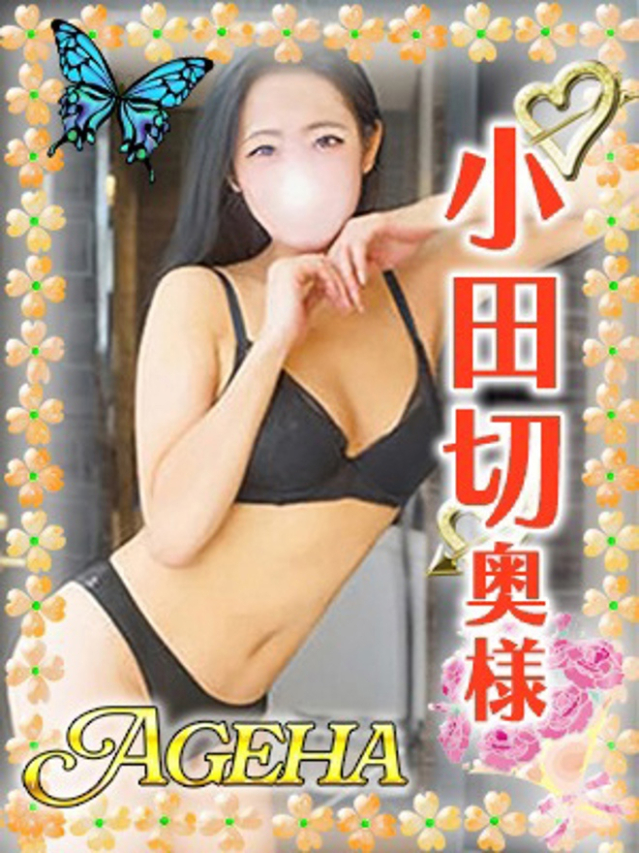 小田切(おだぎり)（あげは）