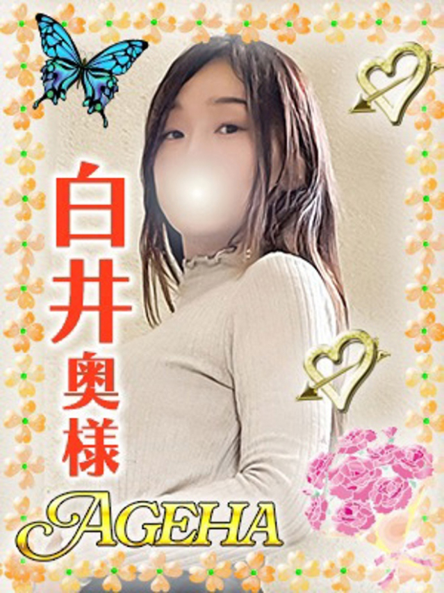 白井(しらい)（あげは）