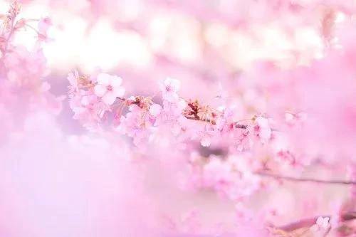 A様♡3/28ご予約ありがとうございます🌷