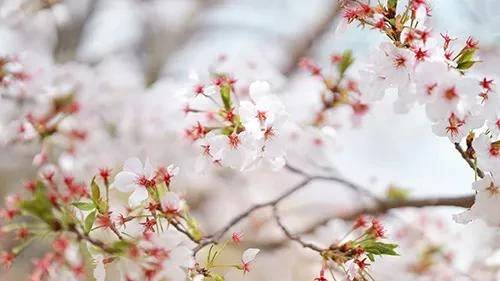 本指名S様♡4/2ご予約ありがとうございます🌷