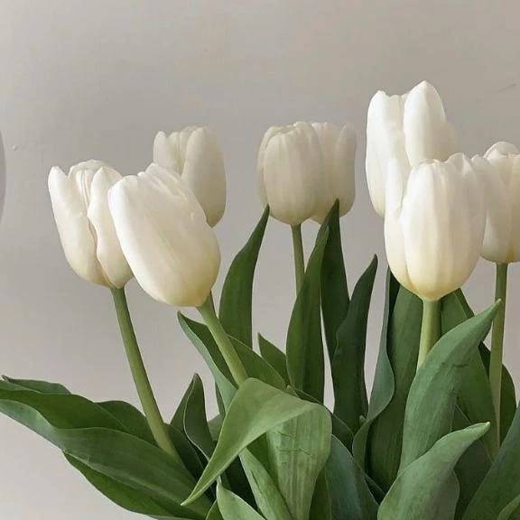 先程の本指名T様