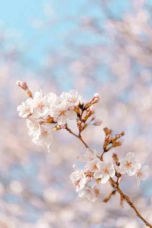 本指名K様♡4/4ご予約ありがとうございます🌷