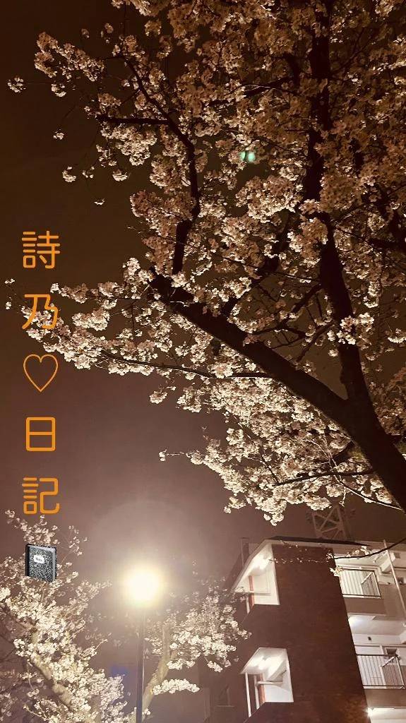 お家の近くの桜を...🌸