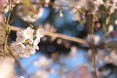 本指名Kさま♡4/8ご予約ありがとうございます🌷