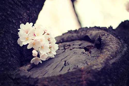 本指名K様♡4/6ご予約ありがとうございます🌷