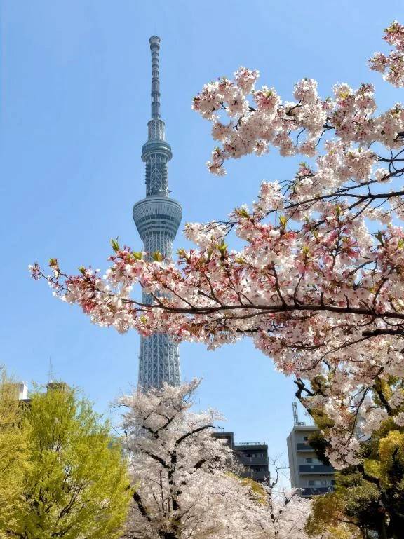 お散歩キロク。