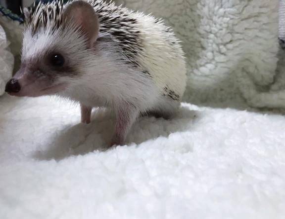 可愛いお友達♡