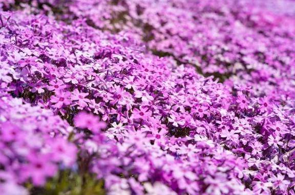 向かってます☺️