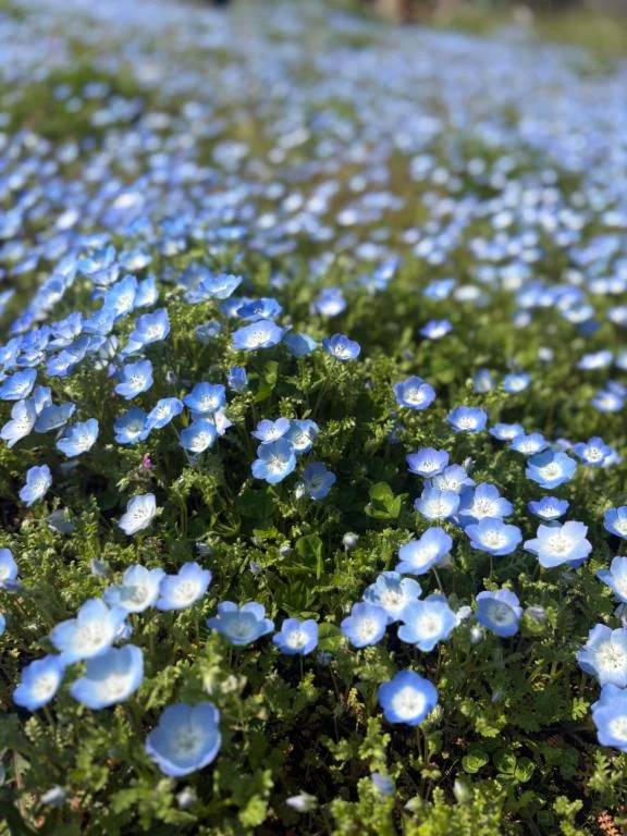 ご予約頂いたY様へ 🌷