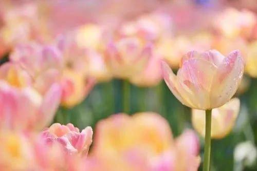 S様♡4/30ご予約ありがとうございます🌷