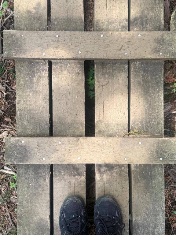 なついたら最後です笑