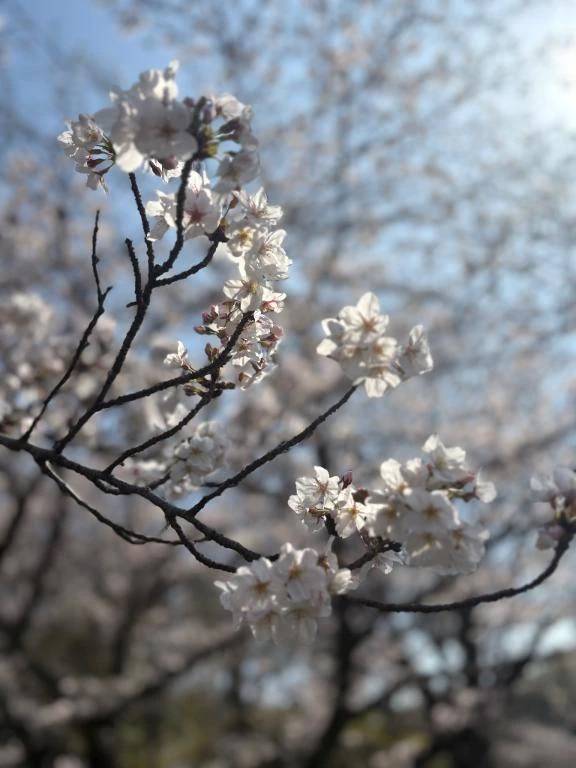 ご予約頂いたM様へ 🌷