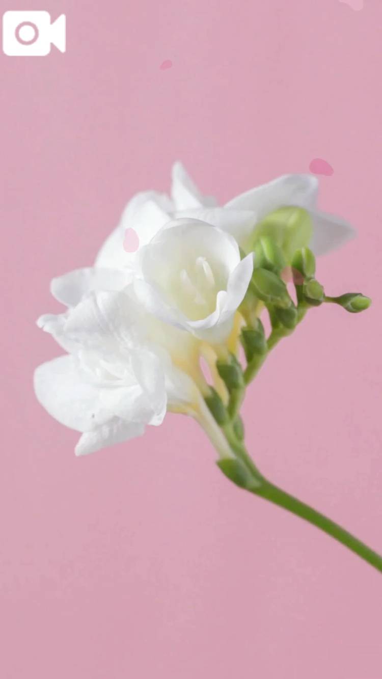 届きましたか？♡