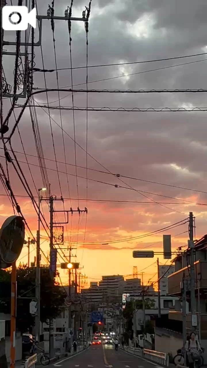 この世は美しい😍