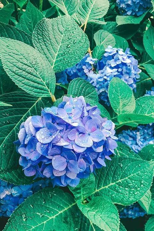 T様♡ご予約ありがとうございます🌷