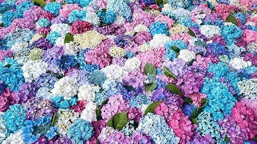 本指名O様♡ご予約ありがとうございました🌷
