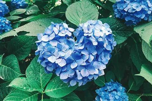 A様♡ご予約ありがとうございます🌷