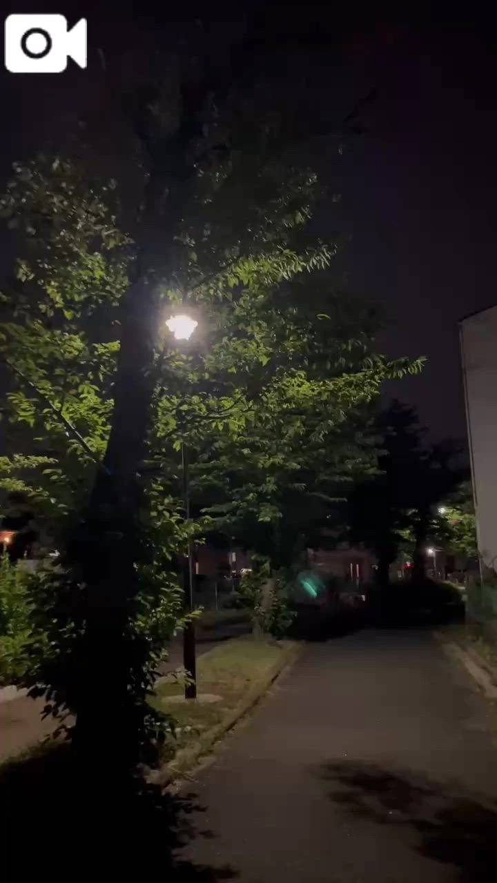 夜散歩中🚶⭐️🌙