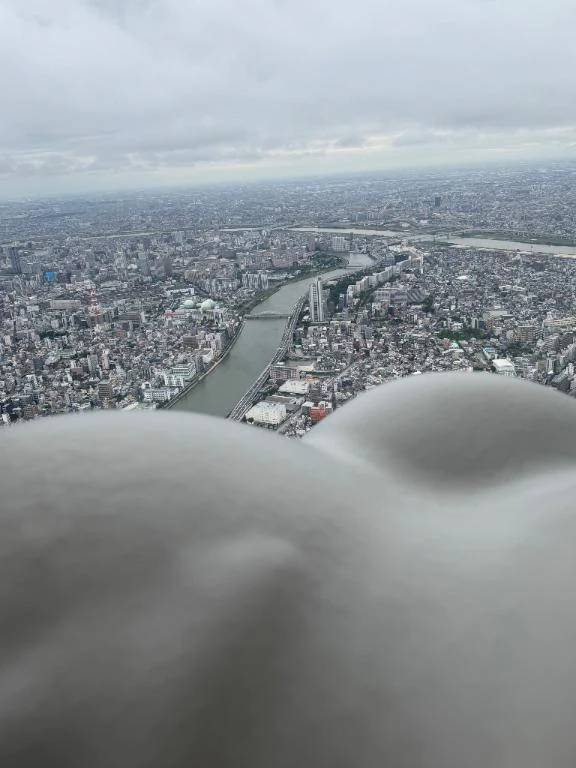 空中散歩してきました☁️