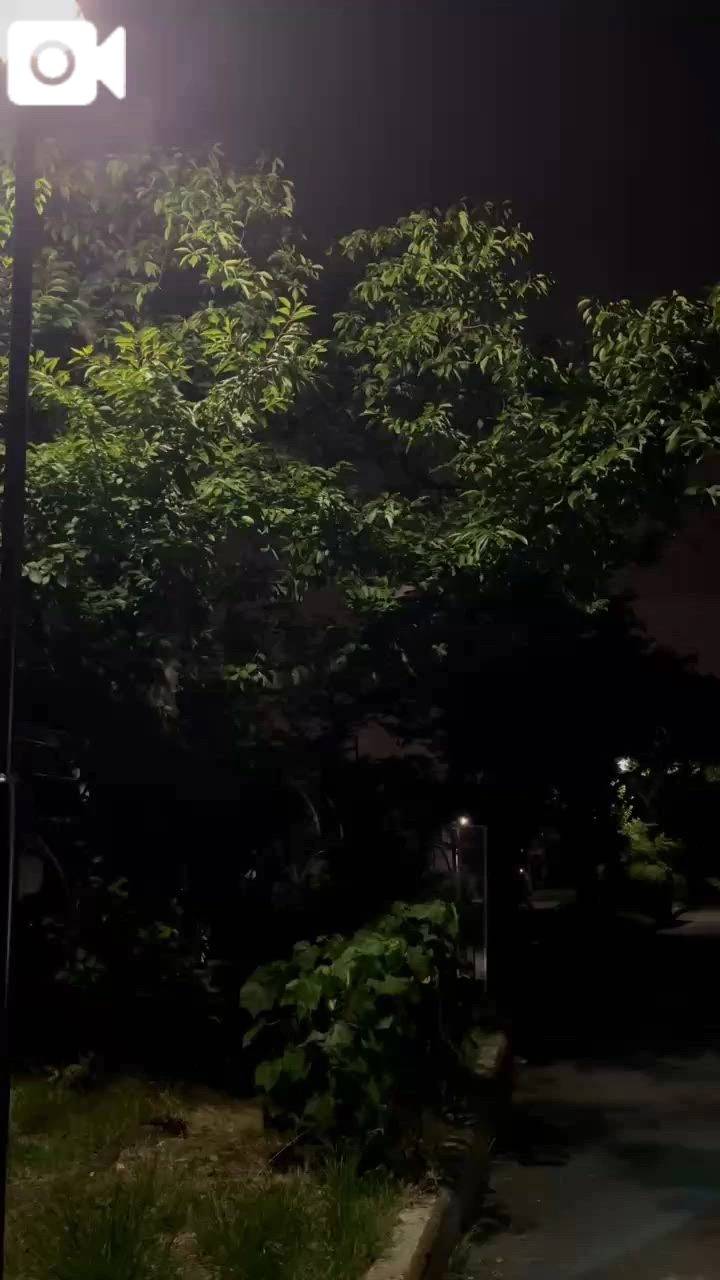 夜のお散歩🚶🌙