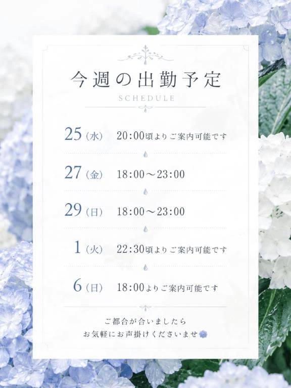 今週のご案内