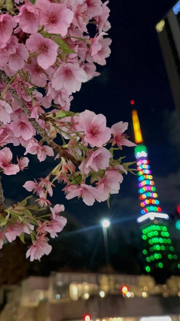 本日 本指名A様へ🕊️✉️