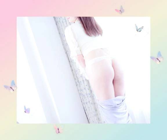 今週の予定