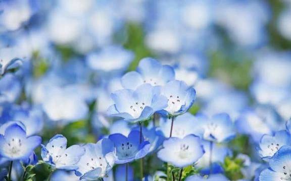 お休みします💧💭