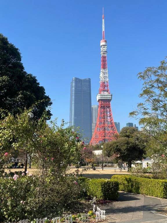 がんばって太陽