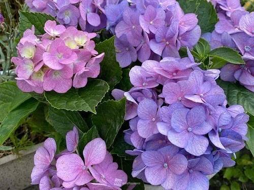 S様へ