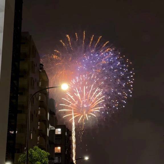 夏の夜を彩る花火