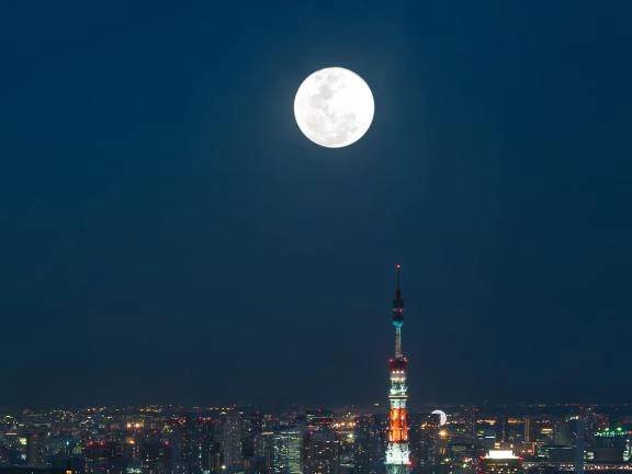 大好きな皆様へ