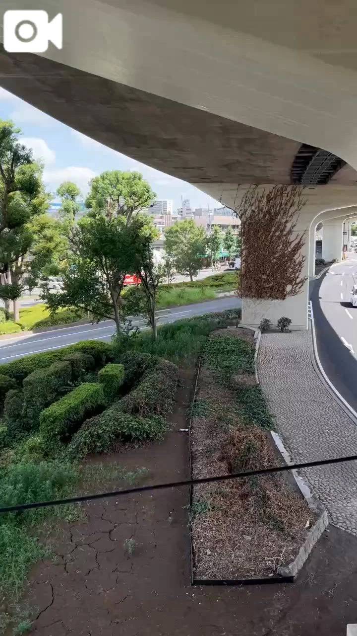 遠征お散歩🥹🫶🏻