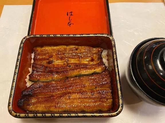 夏の陽射しの中で