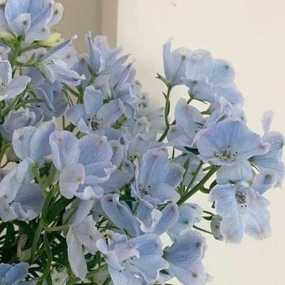 先程のI様へ